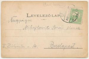 Buzinka, Sacza, Saca (Kassa, Kosice); Dr. Semsey Andor kastélya. Nyulászi Béla kiadása / castle (EB)