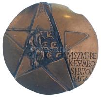 1970 k. "MSZMP Békés Városi Bizottsága" kétoldalas, öntött bronz emlékplakett fa tartóban (95mm) T:AU