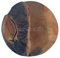 1970 k. "MSZMP Békés Városi Bizottsága" kétoldalas, öntött bronz emlékplakett fa tartóban ...