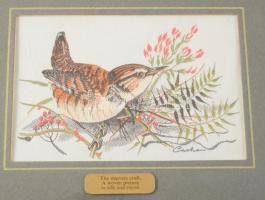 Veréb, hímzett selyem kép. 10x8 cm Üvegezett keretben 19x15 cm