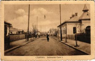 1914 Campina, Bulev. Carol I. / street view (EB)