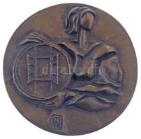 Asszonyi Tamás (1942-) 1980 k. "Baranya Megyei Tanács Közművelődési Díja" kétoldalas, öntött bronz érdemérem (84mm) T:AU
