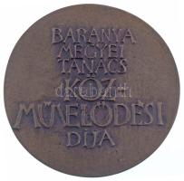 Asszonyi Tamás (1942-) 1980 k. "Baranya Megyei Tanács Közművelődési Díja" kétoldalas, öntö...