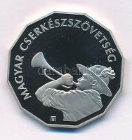 2012. 100Ft Cu-Ni "100 éves a Magyar Cserkészszövetség" kapszulában T:PP
Adamo EM253
