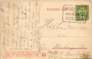 1910 Göd, Duna részlet a gödi szigettel, Roth nyaraló, villa, gödi családiház és nyaralótelep, posta...