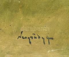 Neogrády Antal (1861-1942): Lány a kútnál. Olaj, vászon, jelezve jobbra lent. 68x80 cm. / oil on can...