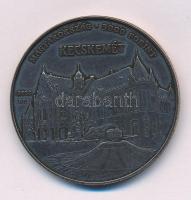 2022. 3000Ft Cu-Zn "Bács-Kiskun megye, Kecskemét" kapszulában T:BU