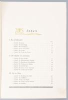 (Őseink hősi tettei. Mesék Ausztria-Magyarország őstörténetéből.) Auguste Groner. Heldenthaten unser...