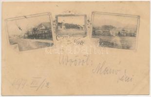 1899 Brassó, Kronstadt, Brasov; Gruss aus Noa / Noua. Art Nouveau, floral (fl)