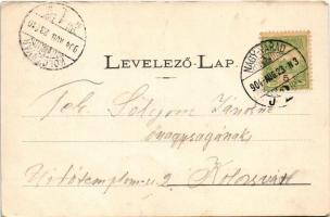 1904 Nagyvárad, Oradea; Ezredévi emléktér a sétánnyal, templom / square, promenade, church (fa)