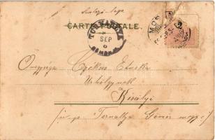 1899 Lady with flower art postcard. Serie VI. No. 30. litho (r)