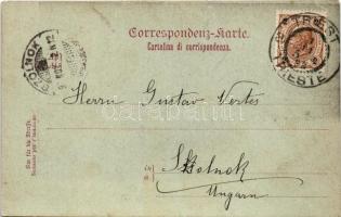 1898 Trieste, Trieszt; Panorama / view, port (EK)