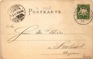 1899 Schönwald, view. Fritz Zäch Asch Art Nouveau, floral, litho (EK)