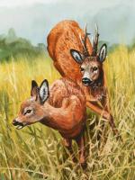 Kovrig Miklós (1951-): Őznász, 2007. Olaj, farost. Jelzett. Hátoldalán autográf felirattal. 50x70 cm