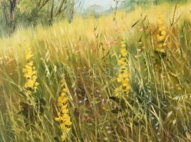 Kovrig Miklós (1951-): Őznász, 2007. Olaj, farost. Jelzett. Hátoldalán autográf felirattal. 50x70 cm