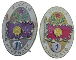 1970-1980 k. "Kiváló Hallgató 1" + "Kiváló Növendék 1" rátétes, műgyantás bronz Magyar Néphadsereg sapkajelvények (2xklf)(41x26mm) T:AU,XF