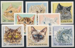 1968 Macskák vágott sor (8.000)