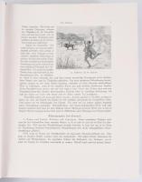 Bogeng, [Gustav Adolf Erich] (szerk.): Geschichte des Sports aller Völker und Zeiten. I-II. köt. [Eg...