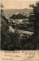 1902 Segesvár, Schässburg, Sighisoara; látkép. Vándory kiadása / general view (fl)