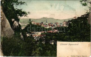 1906 Segesvár, Schässburg, Sighisoara; látkép. Teutsch Frigyes kiadása / general view (ragasztónyom / glue marks)