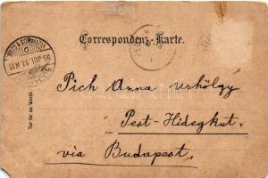 Gmunden (Salzkammergut), Traunfall, Hotel Bellevue. Druck von Louis Glaser / waterfall, view, hotel....