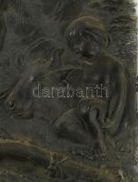 2 darab antik plakett Poszeidón és Vénusz alakjaival. cca 19. sz. közepe - második fele, patinázott ...