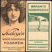 Kalogén sósborszesz fogkrém és Brázay sósborszesz számolócédula