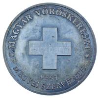 DN "Ivánka Imre életműdíj / Magyar Vöröskereszt Pest Megyei Szervezete" kétoldalas ezüstöz...