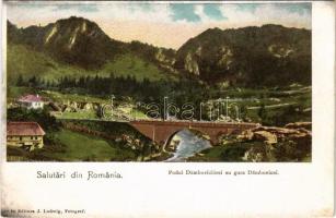 Dambovicioara, Salutari din Romania. Podul Damboviciorei eu gura Dambovicei. Ed. J. Ludwig / bridge
