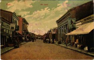 Mizil, Strada Carol. D. Poppovitz / street view, shop of V. Anastasiu