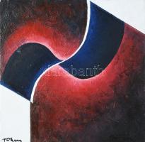 Tőkey Péter (1943-): Vörös ellenfény, 2008. Olaj, fa. Jelzett. Hátoldalán címkén feliratozott. 25×25 cm