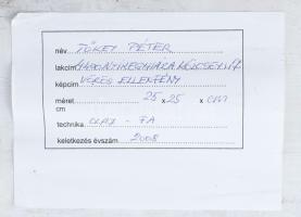 Tőkey Péter (1943-): Vörös ellenfény, 2008. Olaj, fa. Jelzett. Hátoldalán címkén feliratozott. 25×25...