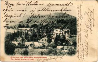 1904 Stájerlak, Steierlak, Stájerlakanina, Staier, Steierdorf, Anina; Steierdorfer Sommerfrische / üdülőtelep / holiday resort + "BÁZIÁS - BUDAPEST 4. SZ." vasúti mozgóposta bélyegző (EK)