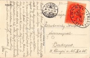 1938 Gács, Halic; vár, kastély / Halicsky kastiel / castle + "1938 Losonc visszatért" So. ...