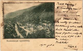 1901 Ruszkabánya, Rusca Montana; látkép, nyaralóhely. Fuchs fényképei után, Paul Hermmann / view (fl)