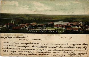 1904 Ipolyság, Sahy; látkép. Polgár I. kiadása / general view (Rb)