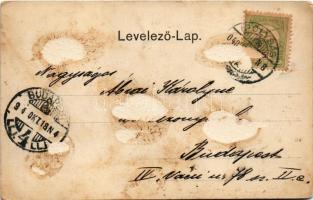 1904 Ipolyság, Sahy; látkép. Polgár I. kiadása / general view (Rb)