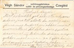 1936 Cegléd, Végh Sándor szőlőnagybirtokos szőlő és pincegazdasága, présház, szőlő és vasút részlet,...