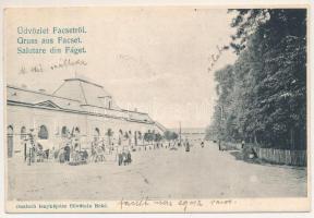 1907 Facset, Facsád, Faget; Magyar Király szálloda. Deutsch fényképész fölvétele / hotel (vágott / cut)