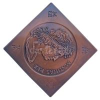 Fritz Mihály (1947-) 1990. "Mathias Rex / 1458 - 1490 - 1990" Mátyás király halálának 500. évfordulójára kiadott kétoldalas bronz emlékcsegely (51x51mm) T:AU Adamo SF15