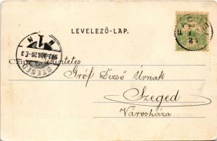 1902 Facset, Facsád, Faget; Szálloda a magyar királyhoz. Weisz Salamon kiadása / hotel (EB)