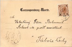 1899 Bockfließ, Bockfliess; chruch, street. Lichtdruck C. Ledermann jun. Art Nouveau, floral