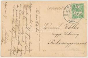 1912 Szapáryliget, Szapár-Liget, Tipar (Arad); Községháza, Fő tér, artézi kút. Katz Simon kiadása, W...