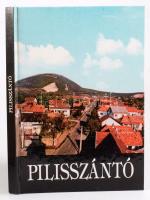 Pilisszántó. Falumonográfia. Szerk.: L. Gál Éva, Mali László, Szőnyi József. Pilisszántó, [1996], Önkormányzat. Fekete-fehér fotókkal illusztrálva. Kiadói kartonált papírkötés, ajándékozási bejegyzéssel.