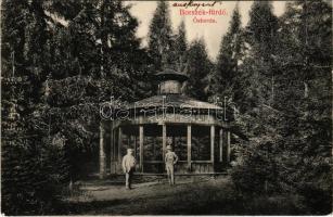 1916 Borszék-fürdő, Baile Borsec; Ősforrás / spring source (EK)