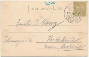 1903 Arad, Baross park, kioszk, étterem. Kiadja ifj. Klein Mór / park, kiosk, restaurant (EK)