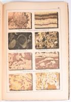 Kenngott, Adolf, und Friedrich Rolle: Naturgeschichte des Mineralreichs für Schule und Haus
Eßlinge...