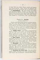 Baltzer's vegetarisches Kochbuch. Leipzig, 1908. Karl Lentze. 206p Festett szecessziós egészvás...