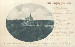 Mezőzáh castle (small tear)