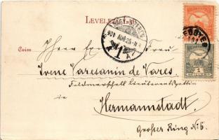 1901 Medgyes, Mediasch, Medias; látkép. Fritz Guggenberger kiadása / general view (EK)